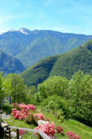 C. — patient testimonial, Swiss Mountain Clinic