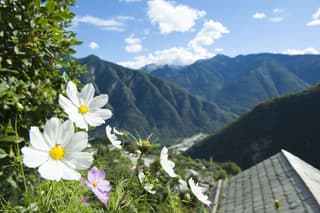 J.G. — patient testimonial, Swiss Mountain Clinic