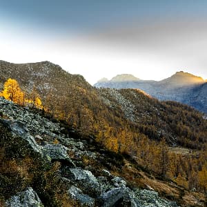 A.G & M.G — patient testimonial, Swiss Mountain Clinic