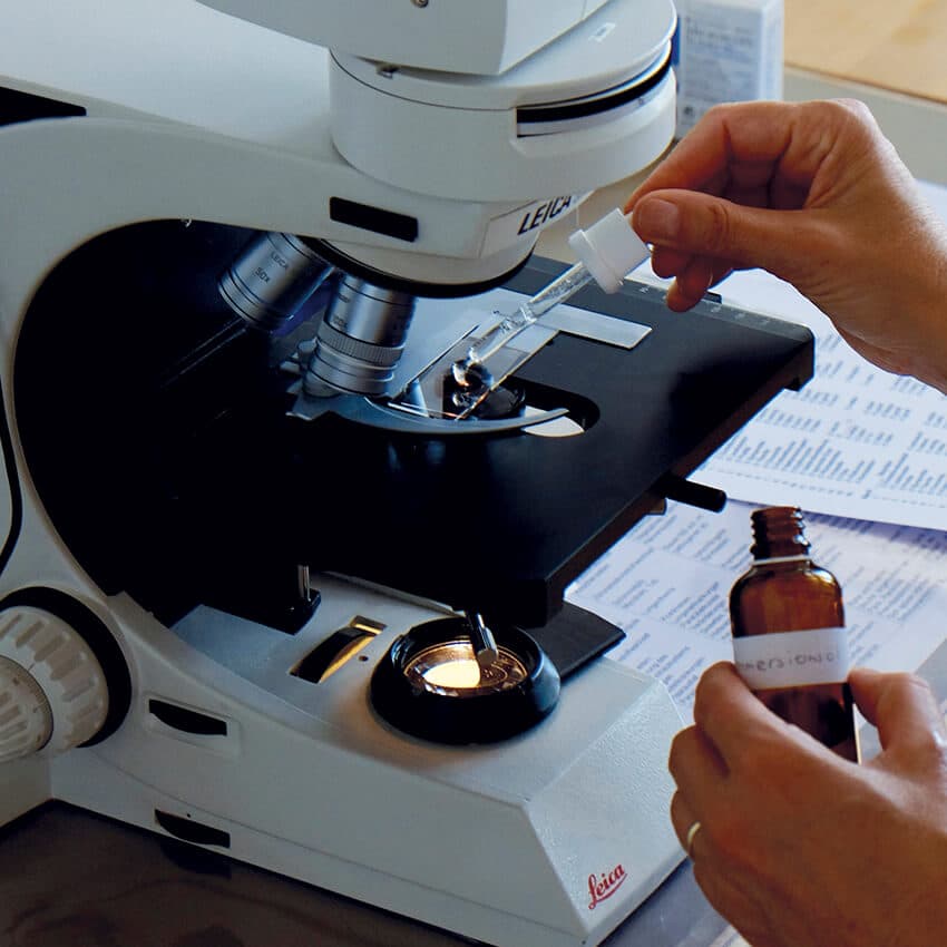 dark field microscopy
